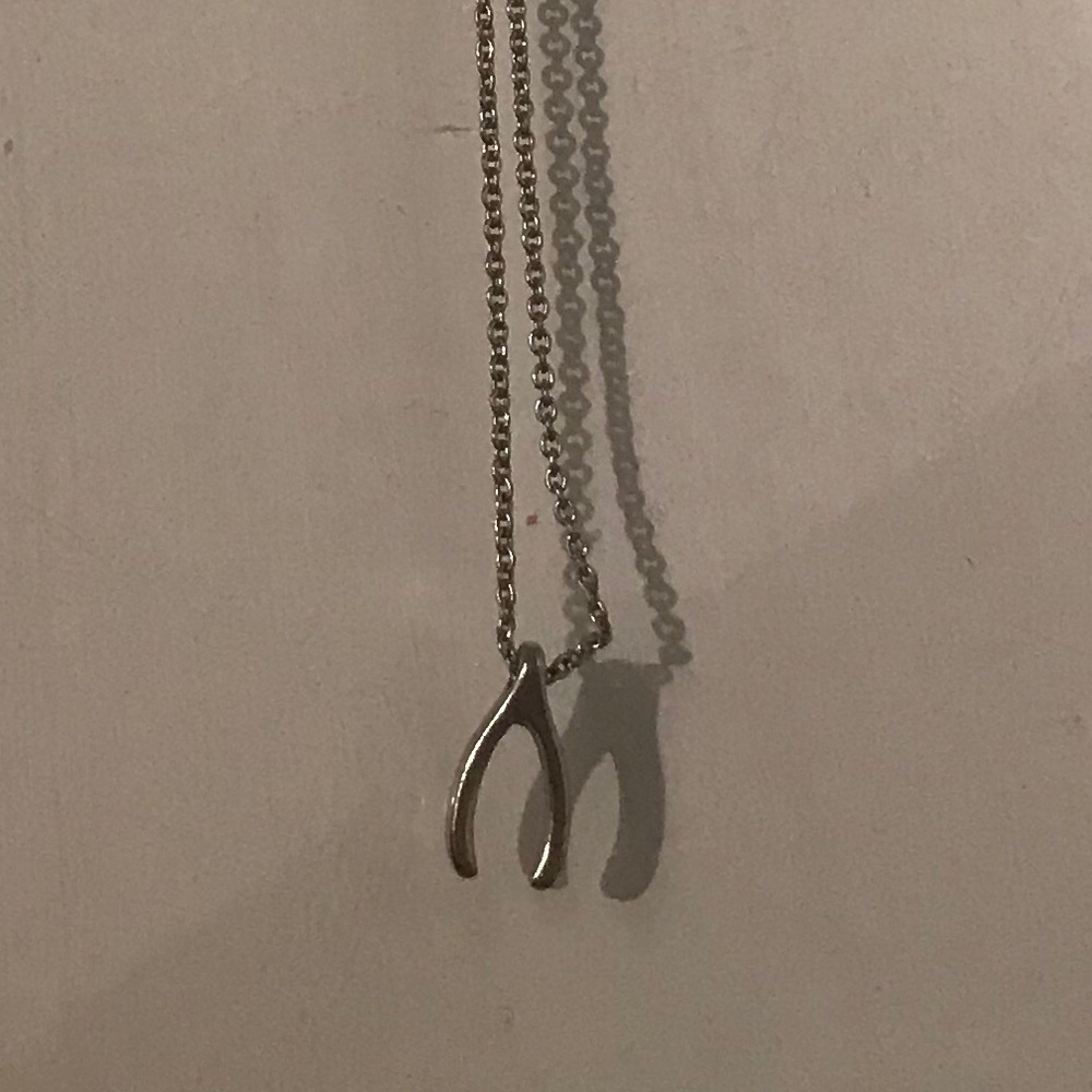 Forever 21 silver wish bone necklace